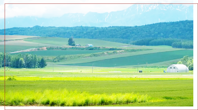 徹底した洗浄と独自技術により極上の逸品が完成