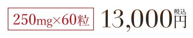 250mg×60粒 13,000円税込
